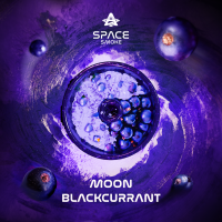 Кальянная смесь Space Smoke 125 гр. Moon BlackCurrant