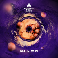 Кальянная смесь Space Smoke 125 гр. Nuts Rain