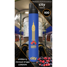 Электронное устройство City Subway London Forest Berry