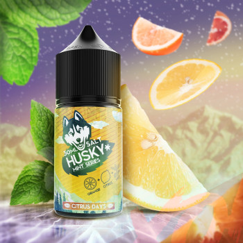 Жидкость Husky Mint Series Salt 30 мл. Citrus Days