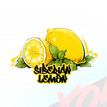 Табак для кальяна B3 Siberian Lemon