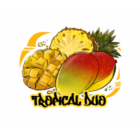 Табак для кальяна B3 Tropical Duo