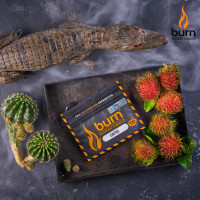 Табак для кальяна Burn 20 гр Cactus