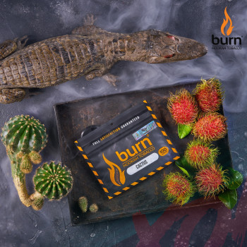 Табак для кальяна Burn 20 гр Cactus