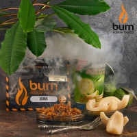 Табак для кальяна Burn 100 гр Guava