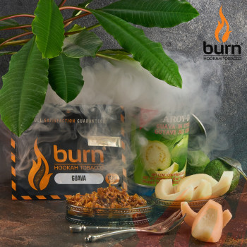 Табак для кальяна Burn 100 гр Guava