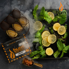 Табак для кальяна Burn 20 гр Lemon Mint