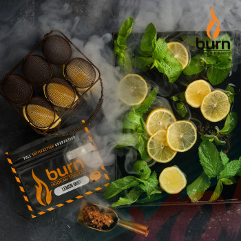 Табак для кальяна Burn 20 гр Lemon Mint