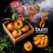 Табак для кальяна Burn 20 гр Nectarin