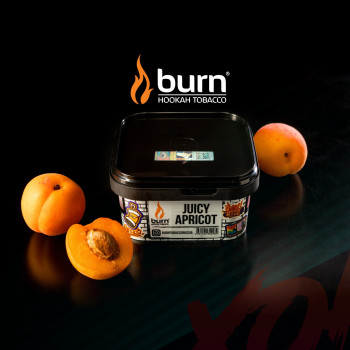 Табак для кальяна Burn 20 гр Juice Apricot