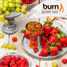 Табак для кальяна Burn 200 гр Berry Mix