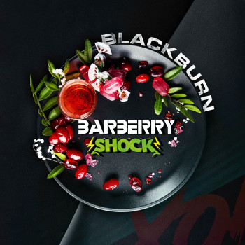 Табак для кальяна Burn Black 100 гр Barberry Shock