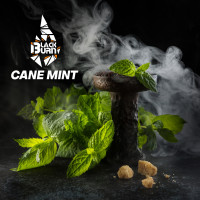 Табак для кальяна Burn Black 200 гр Cane Mint