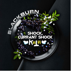 Табак для кальяна Burn Black 25 гр. Currant Shock