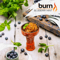 Табак для кальяна Burn 200 гр Blueberry Mint