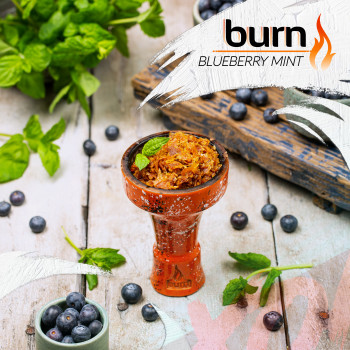 Табак для кальяна Burn 100 гр Blueberry Mint