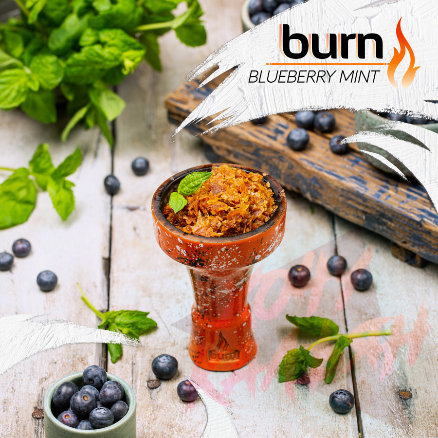 Табак для кальяна Burn 100 гр Blueberry Mint - купить в Лобне |  интернет-магазин 