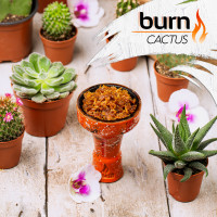 Табак для кальяна Burn 200 гр Cactus