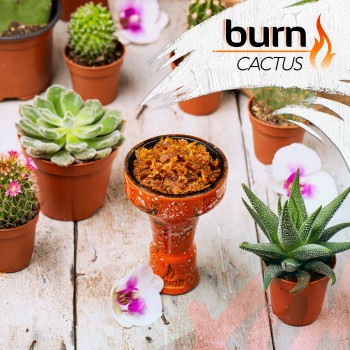 Табак для кальяна Burn 200 гр Cactus