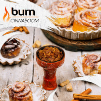 Табак для кальяна Burn 100 гр Cinnaboom