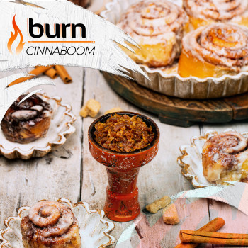 Табак для кальяна Burn 100 гр Cinnaboom