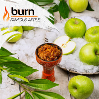 Табак для кальяна Burn 200 гр Famous Apple