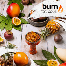 Табак для кальяна Burn 100 гр Feel Good