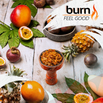 Табак для кальяна Burn 200 гр Feel Good