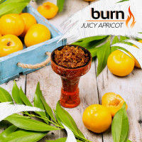 Табак для кальяна Burn 200 гр Juice Apricot