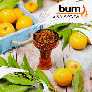 Табак для кальяна Burn 200 гр Juice Apricot