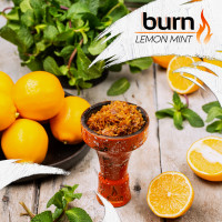 Табак для кальяна Burn 200 гр Lemon Mint