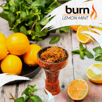 Табак для кальяна Burn 100 гр Lemon Mint