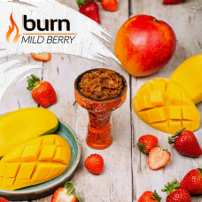 Табак для кальяна Burn 200 гр Mild Berry