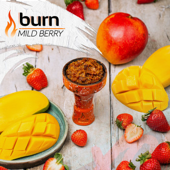 Табак для кальяна Burn 200 гр Mild Berry