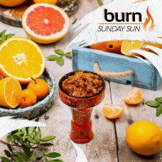 Табак для кальяна Burn 100 гр Sunday Sun