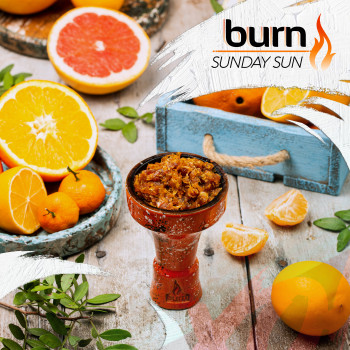 Табак для кальяна Burn 200 гр Sunday Sun