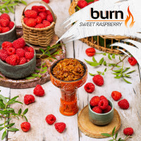 Табак для кальяна Burn 200 гр Sweet Raspberry