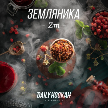 Табак для кальяна DAILY HOOKAH 250 гр. Земляника