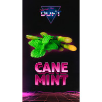 Табак для кальяна Duft 100 гр. Cane Mint