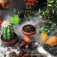 Табак для кальяна Element Вода 40 гр. Cactus Fig