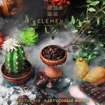 Табак для кальяна Element Вода 40 гр. Cactus Fig