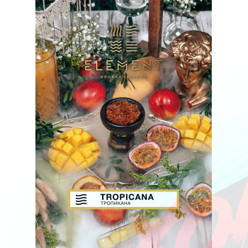 Табак для кальяна Element Вода 25 гр. Tropicana