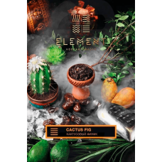 Табак для кальяна Element Земля 40 гр. Cactus Fig