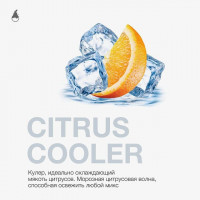 Табак для кальяна MattPear 50 гр. Citrus Cooler